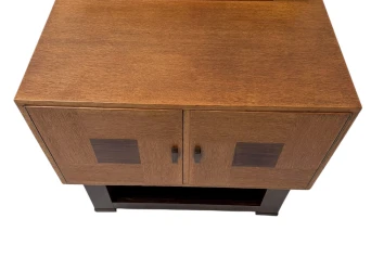 Art Deco Modernist Cabinet by 't Woonhuys Amsterdam, 1920s